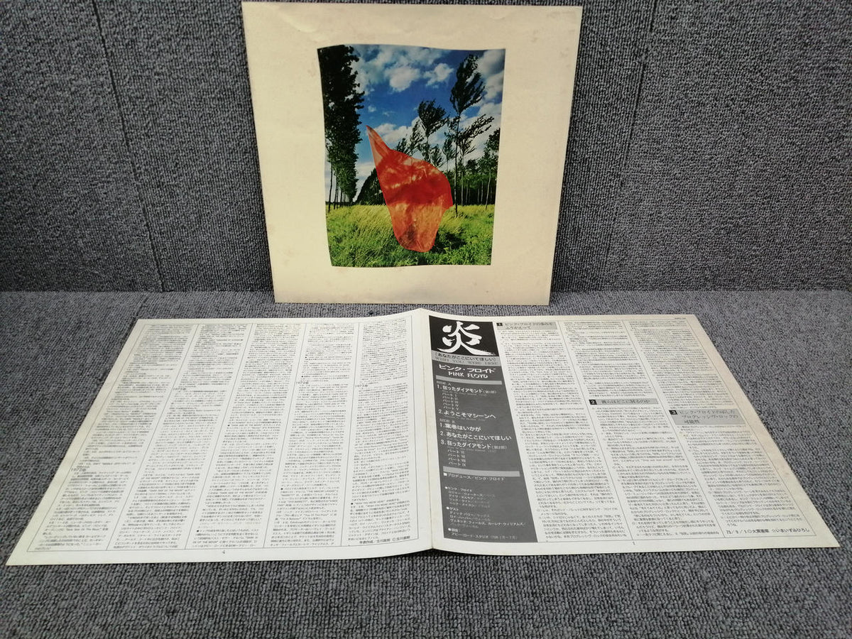 CBS/SONY PINK FLOYD/WISH YOU WERE HERE SOPO100