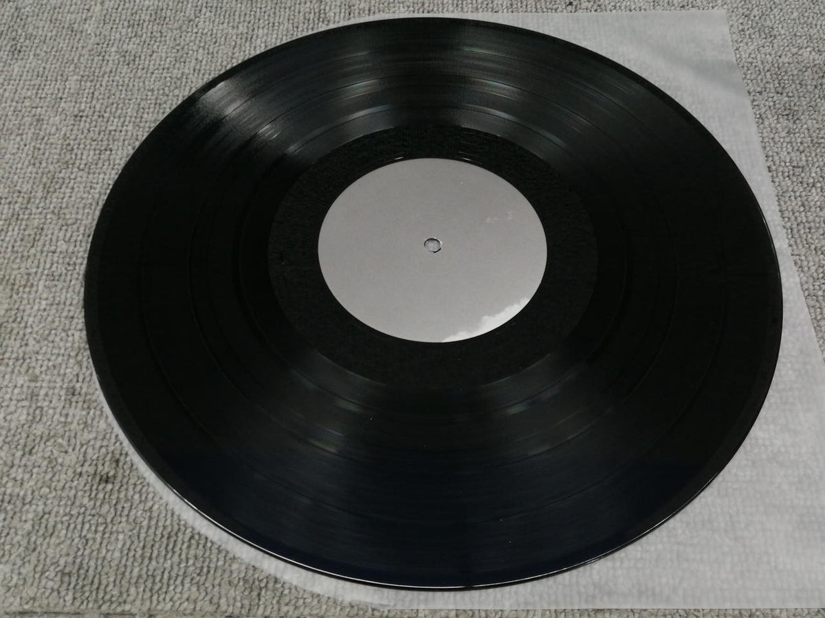 ROSE RECORDS SUNNY DAY SERVICE/THE CITY ROSE218X