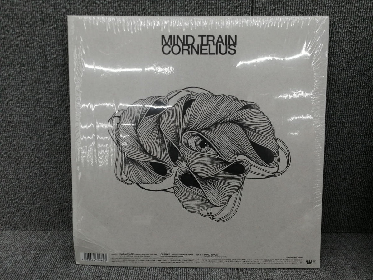 WARER MUSIC JAPAN CORNELIUS, ARTO LINDSAY/BAD AD WPJL10224