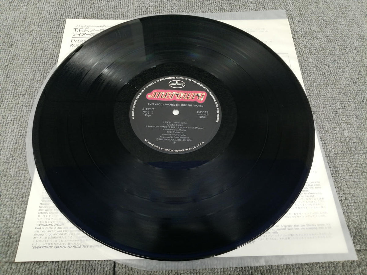 MERCURY TEARSFORFEARS/EVERYBODYWANTSTO 15PP-49