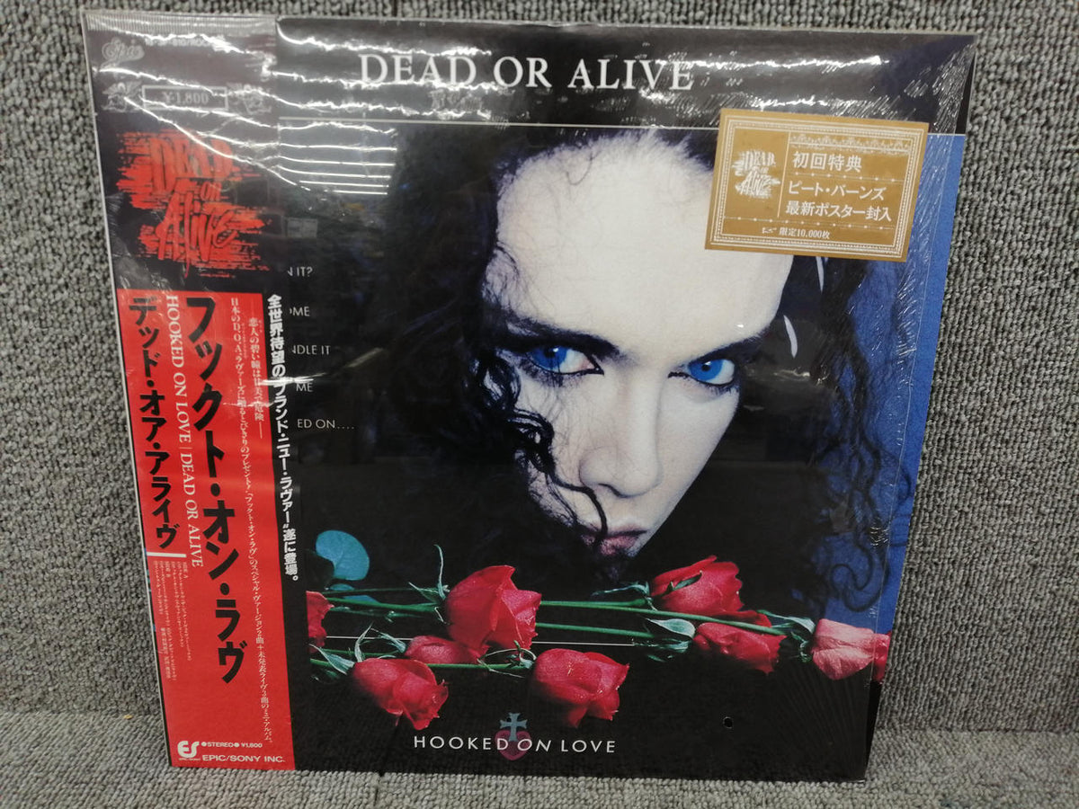 EPIC/SONY DEAD OR ALIVE// HOOKED ON LOVE 18・3P-810