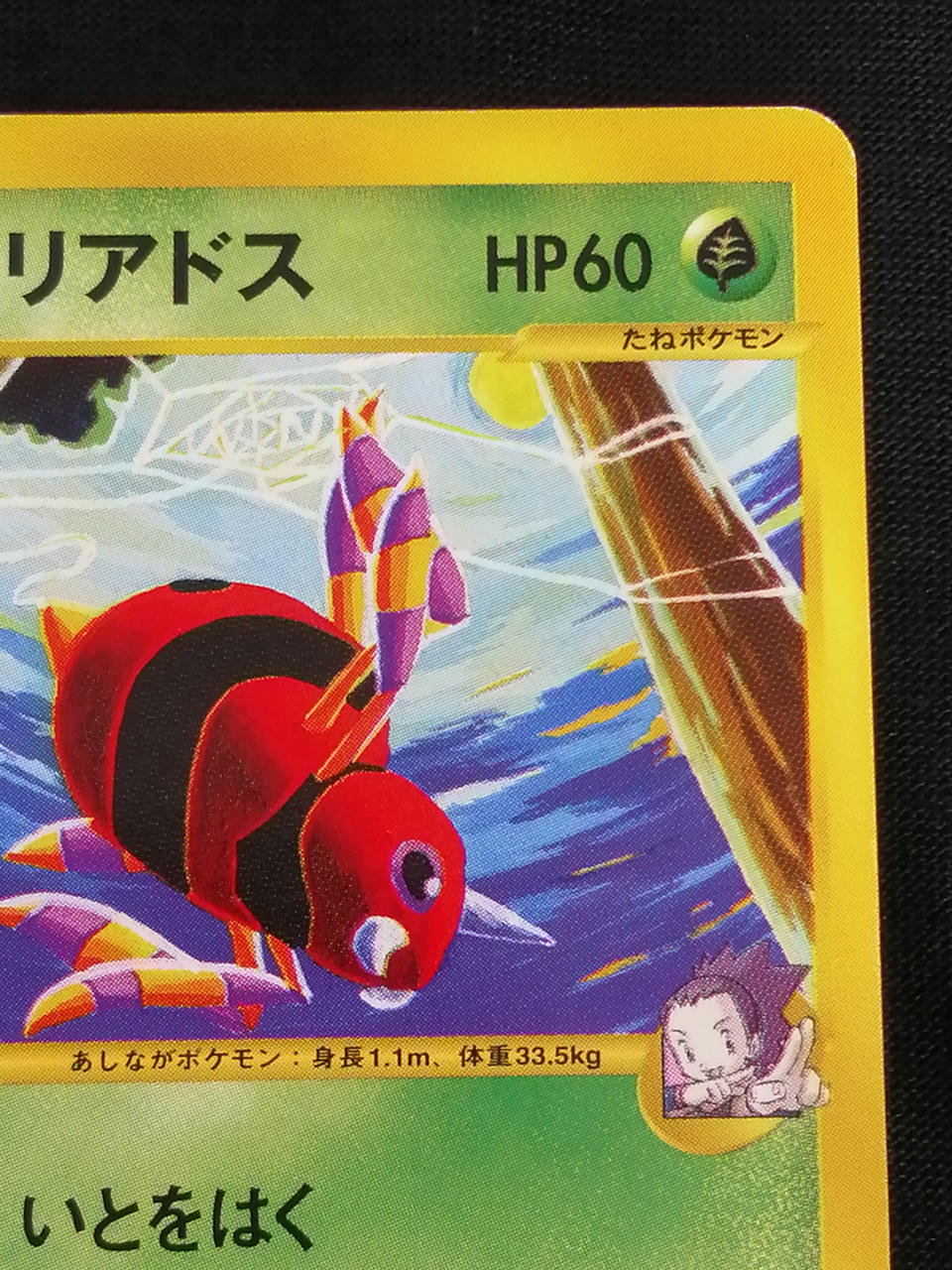 Pokémon Corporation Ariadus of Apricot 065/141● - Banzai Thrifting | BanzaiHobby