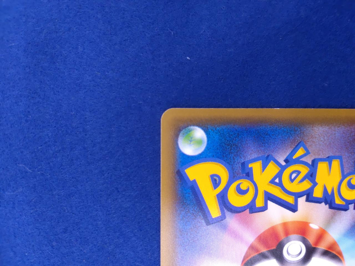 Pokémon Card SR Higana no Determination 079/067SR