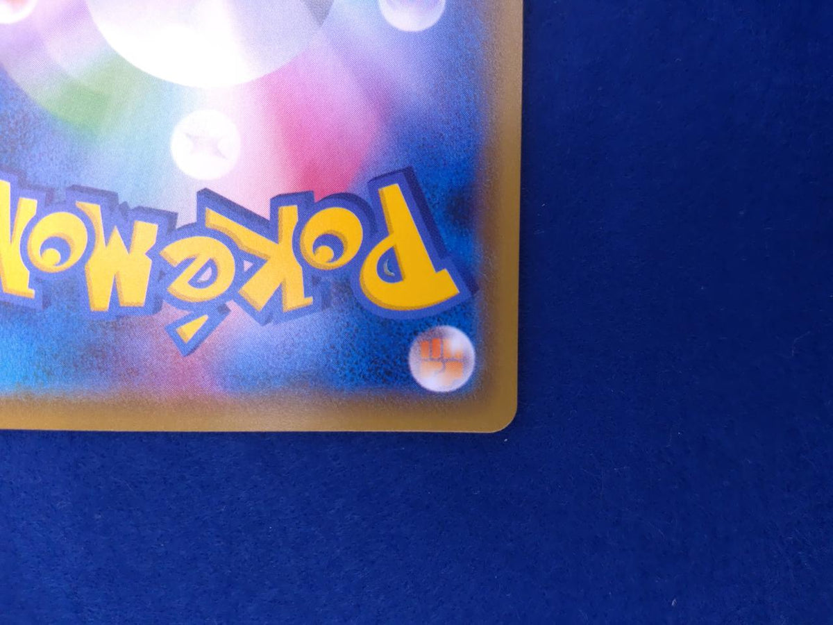 Pokémon Card SR Higana no Determination 079/067SR
