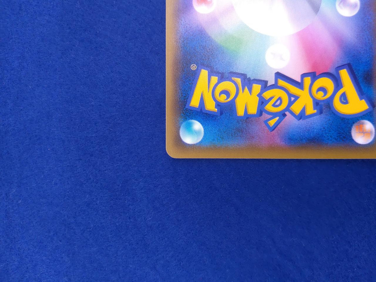 Pokémon Card SR Higana no Determination 079/067SR