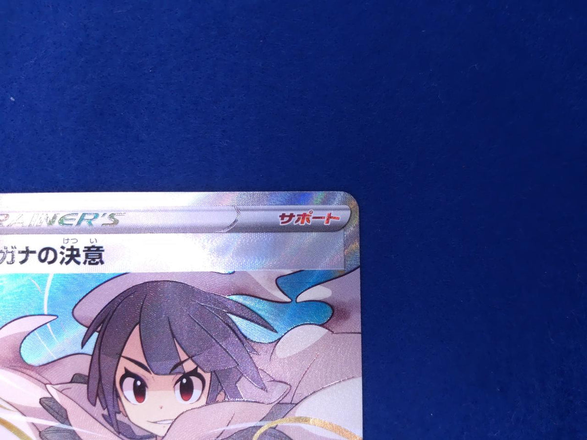 Pokémon Card SR Higana no Determination 079/067SR