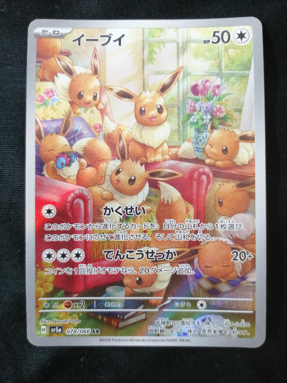 Pokémon Corporation Eevee 078/066