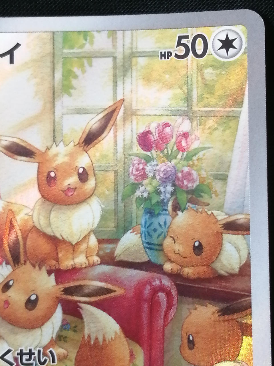 Pokémon Corporation Eevee 078/066