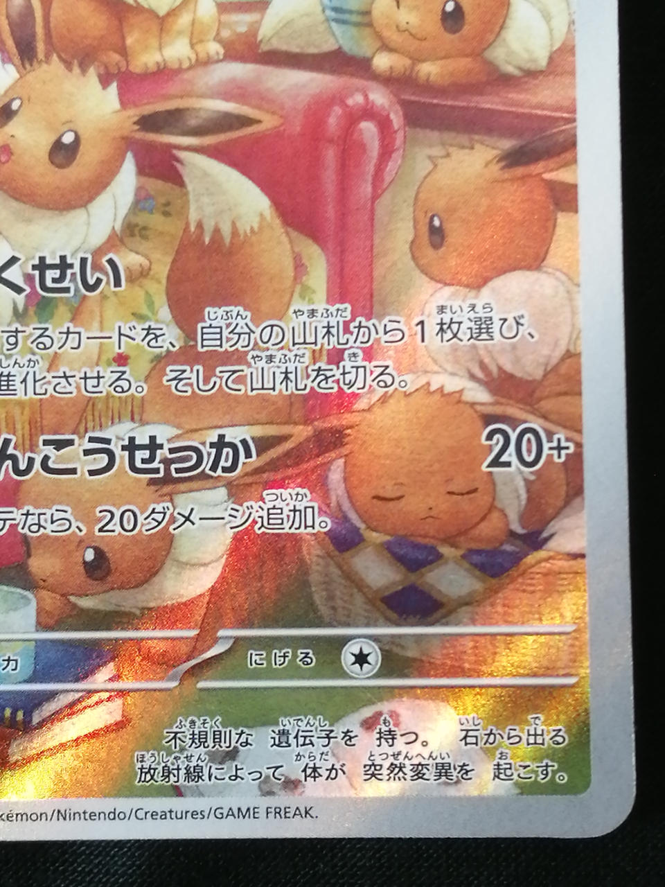 Pokémon Corporation Eevee 078/066