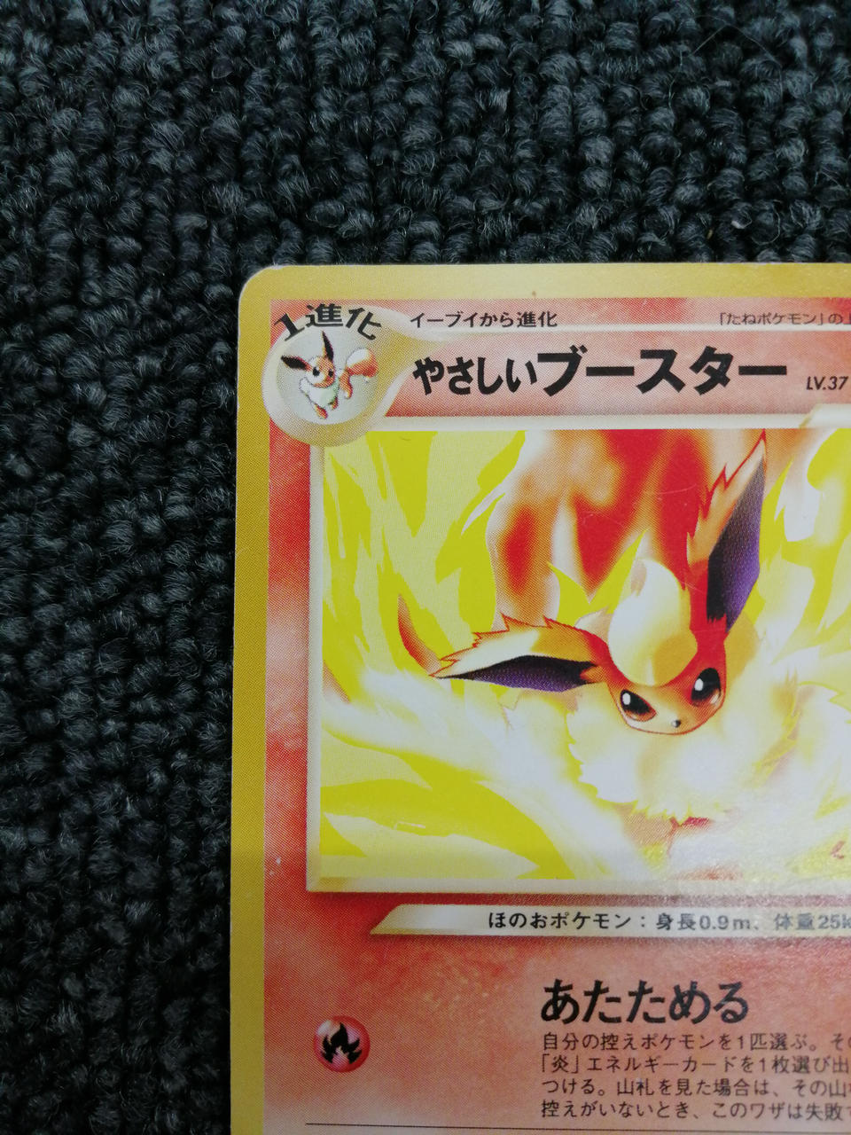 Pokémon Corporation Pokémon Card Game Easy Booster