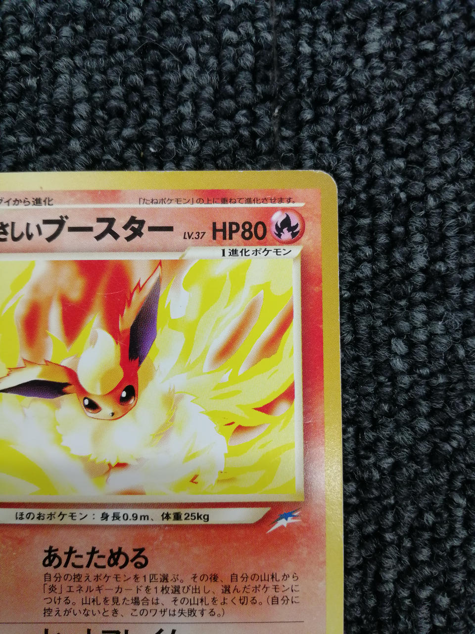 Pokémon Corporation Pokémon Card Game Easy Booster
