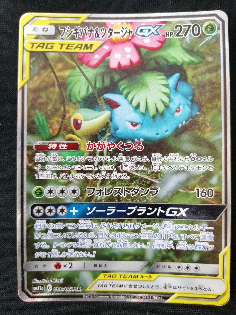 Pokémon Corporation Bulbasaur & Tsutaja 066/064