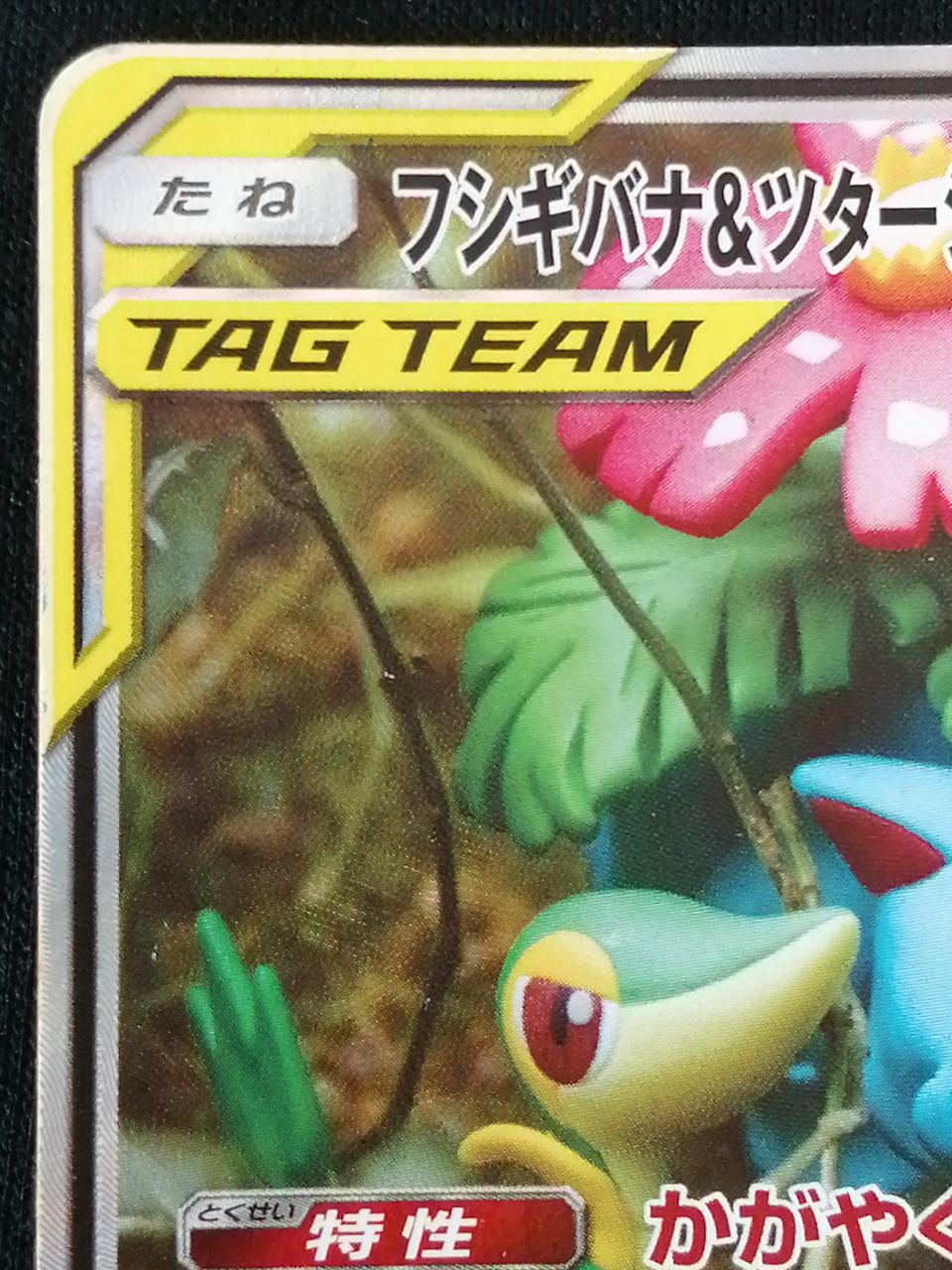 Pokémon Corporation Bulbasaur & Tsutaja 066/064