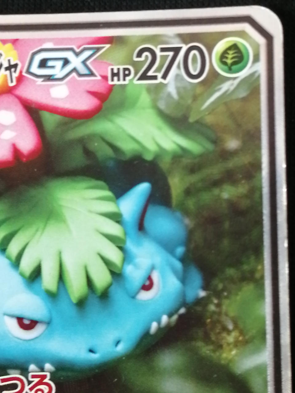 Pokémon Corporation Bulbasaur & Tsutaja 066/064