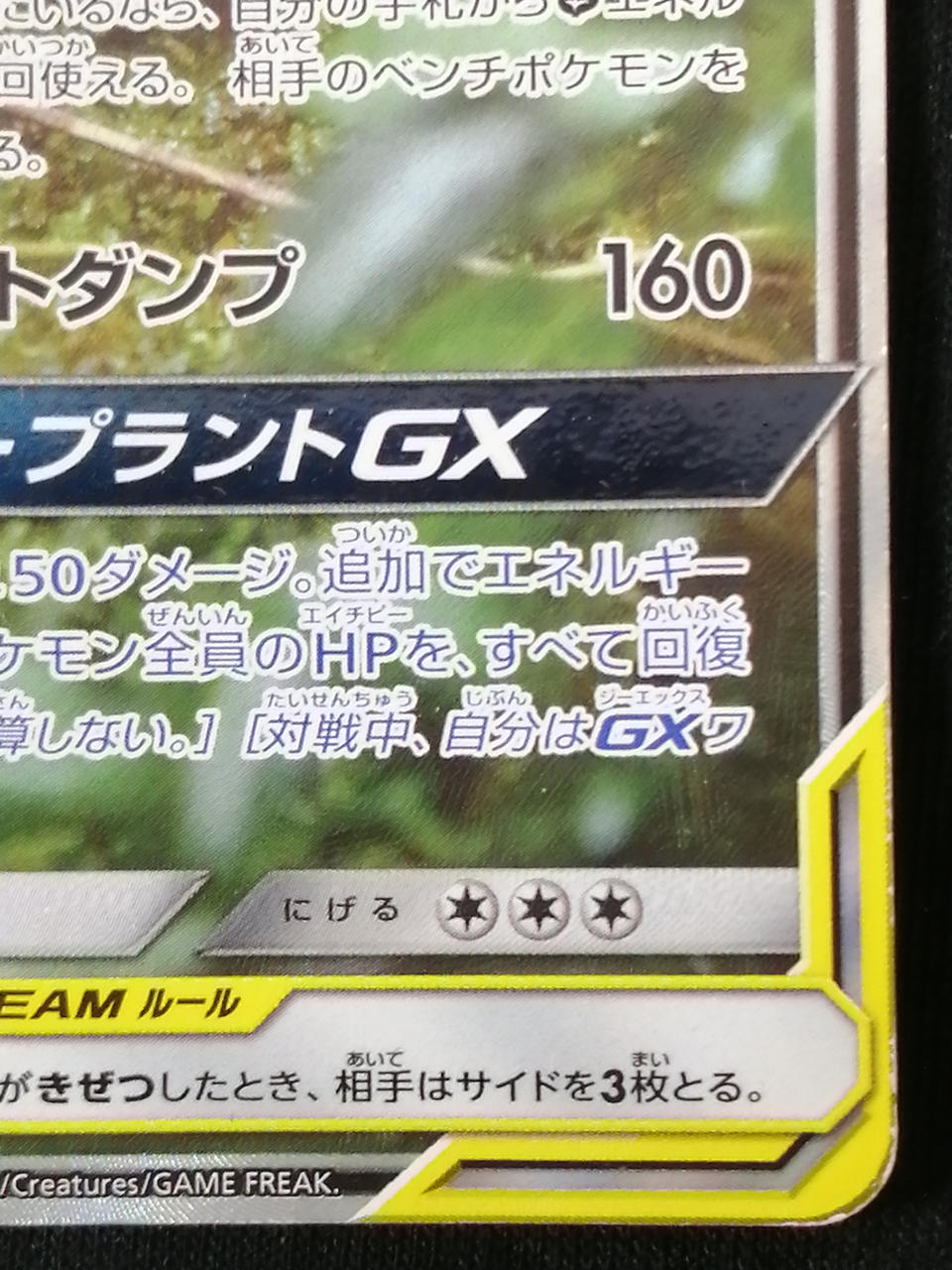 Pokémon Corporation Bulbasaur & Tsutaja 066/064