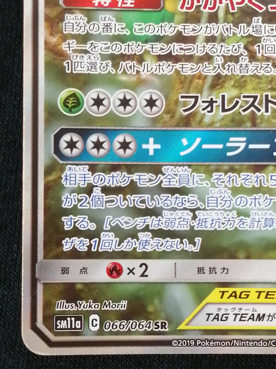 Pokémon Corporation Bulbasaur & Tsutaja 066/064