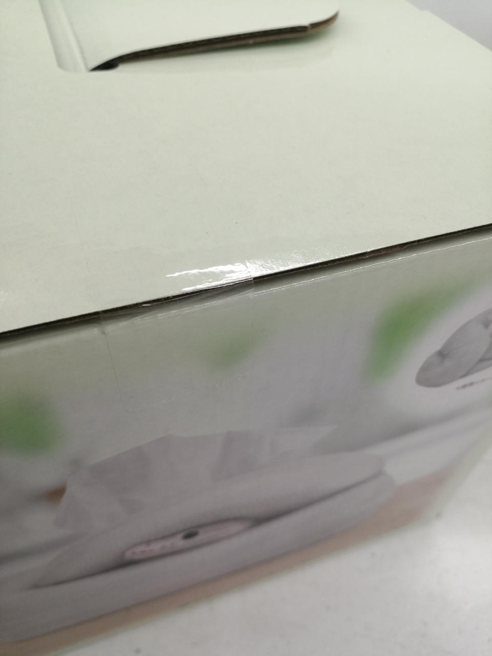 Bandai Namco Ichiban Kuji Reptile & Amphibian Prize B Ball Python Tissue Case