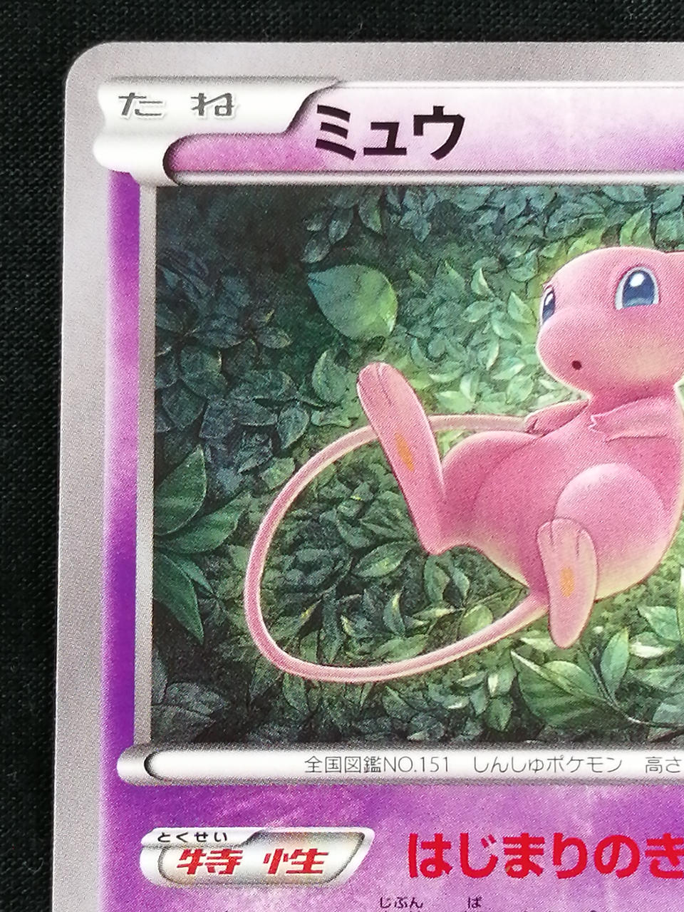 Pokémon Corporation Mew 044/171 - Banzai Thrifting | BanzaiHobby