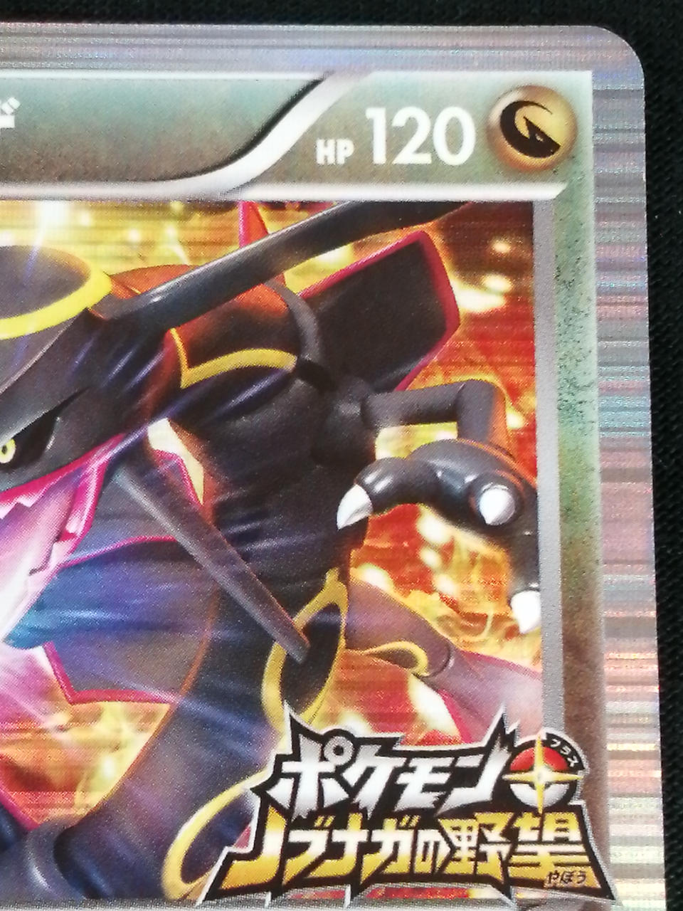 Pokémon Corporation Rayquaza 144/BW-P - Banzai Thrifting | BanzaiHobby