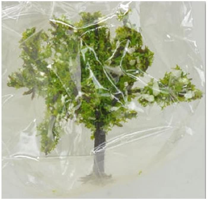 KATO 00132180 32180 Peach Tree (1pc.) - BanzaiHobby