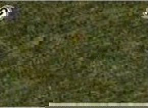 KATO 24-449 Gras Master Oi-Midori (Old Grass Green) 9mm - BanzaiHobby