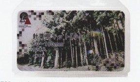 KATO 24-566 Conifer Kit (Small) 60-100mm (12 Pieces) - BanzaiHobby