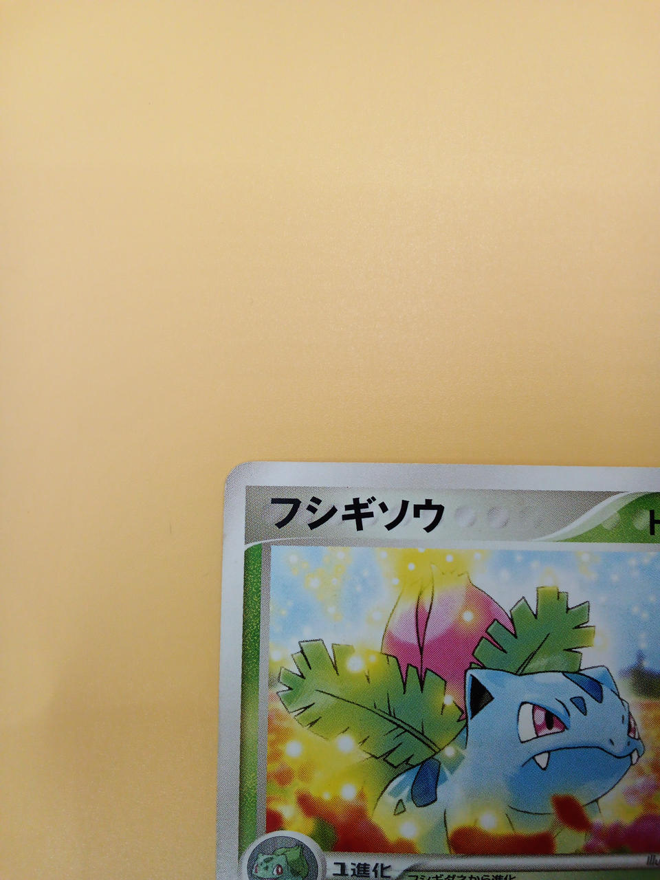 Pokémon Pokémon Card Bulbasaur 004/PCG-P