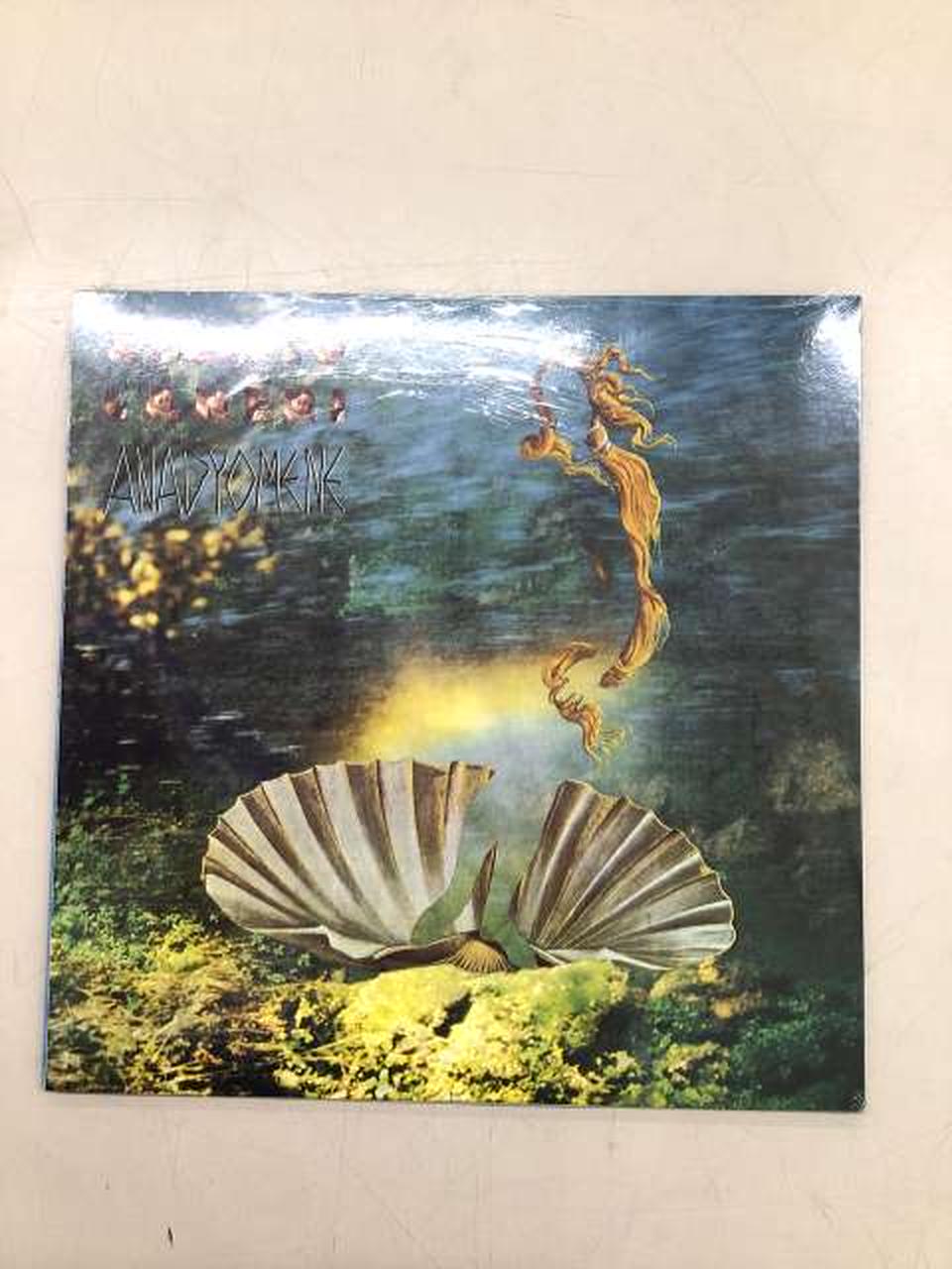ROBERTO LANERI LP I.S. 25002 Unopened Product ANADYOMENE