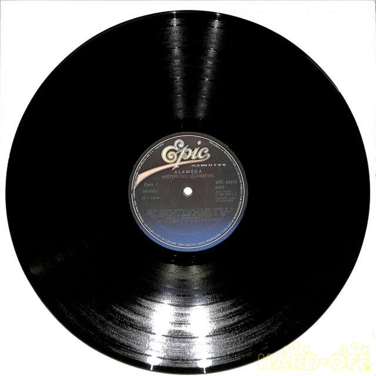 Epic (import, West) Alameda 'Mysteryioso Manantiar' EPC-84315