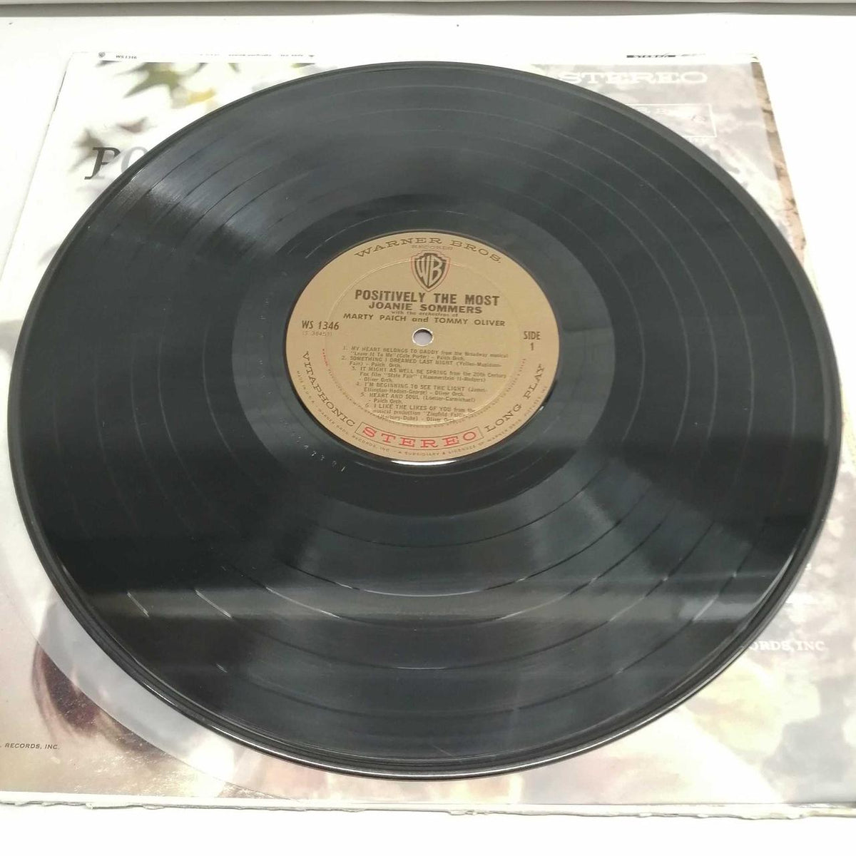 WARNER BROS POSITIVELY THE MOST! WS1346