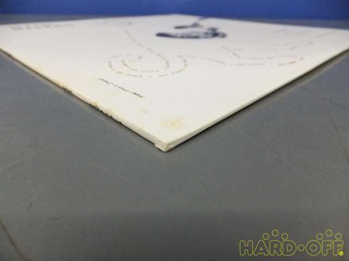 Fun House Co., Ltd. WILD KITTEN/JOE PUMA 22WB-7014/WILD KITTEN/JOE PUMA