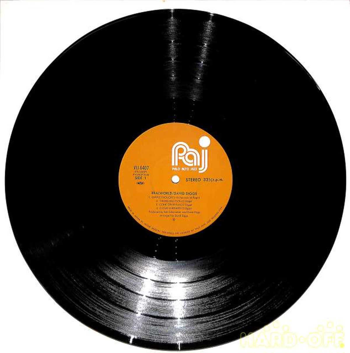 Victor David Diggs "Gentle Thoughts" VIJ-6407