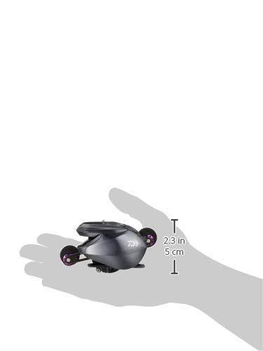 ダイワ(DAIWA) LIGHT SW X IC R カウンター付ベイトリール - BanzaiHobby