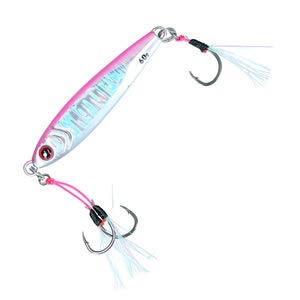 ダイワ(DAIWA) ソルティガ CVジグ SLJ 80g - BanzaiHobby