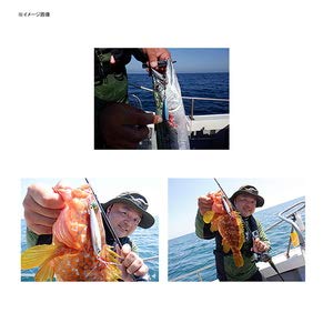 ダイワ(DAIWA) ソルティガ CVジグ SLJ 80g - BanzaiHobby