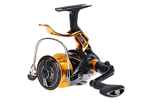 ダイワ(DAIWA) スピニングリール(レバーブレーキ) 19 ラグザス 2500H-LBD(2019モデル) - BanzaiHobby