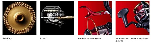 シマノ(SHIMANO) リール 磯レバーリール 20 BB-X ハイパーフォース 2020 C2000DXG 190g 磯 - BanzaiHobby