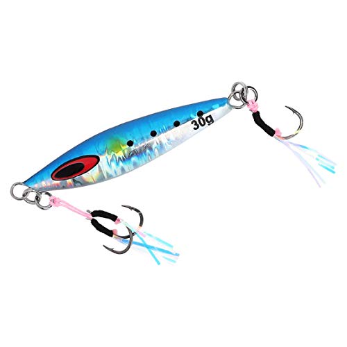 ダイワ(DAIWA) リールケース ソルティガ FKジグ SLJ 45g MGマイワシ - BanzaiHobby