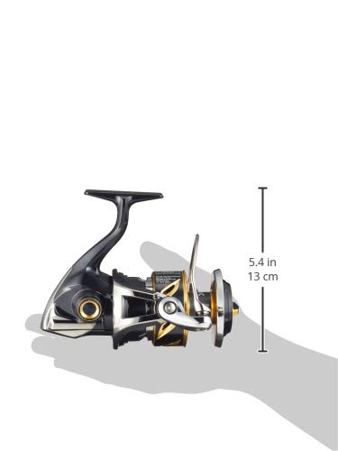 シマノ(SHIMANO) スピニングリール 19 ステラ SW 14000XG キャスティングゲーム ヒラマサ マグロ - BanzaiHobby