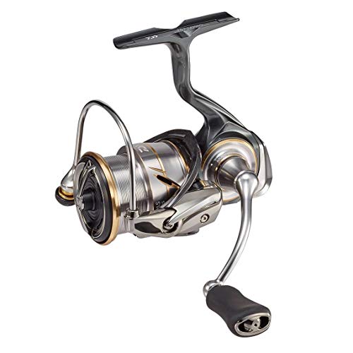 ダイワ(DAIWA) スピニングリール 20 ルビアス FC LT2500S(2020モデル) – BanzaiHobby