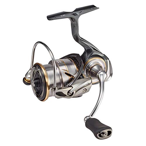 ダイワ(DAIWA) スピニングリール 20 ルビアス FC LT2500S(2020モデル) - BanzaiHobby