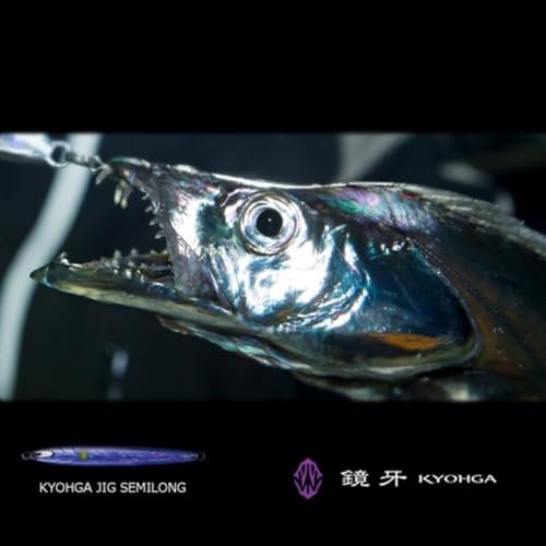 ダイワ(DAIWA) タチウオ 鏡牙ジグ セミロング 80g パラレルホロシャドーピンクゼブラ ルアー - BanzaiHobby