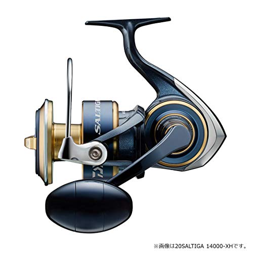ダイワ(DAIWA) スピニングリール 20 ソルティガ 10000-H (2020モデル) - BanzaiHobby