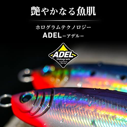 ダイワ(DAIWA) ソルティガTBジグセミロングアデル160KMGRイカ - BanzaiHobby