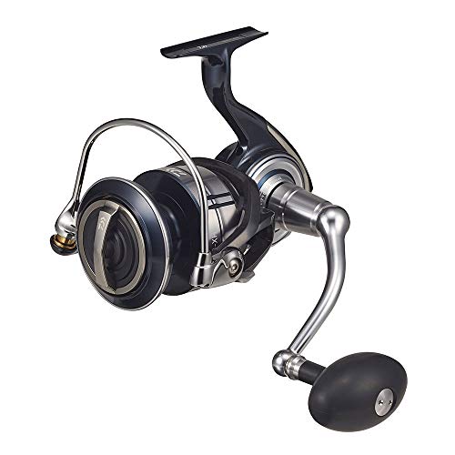 ダイワ(DAIWA) 21 セルテートSW 14000-XH - BanzaiHobby