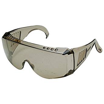 Pro Goggle S Smoke (Kids Size)