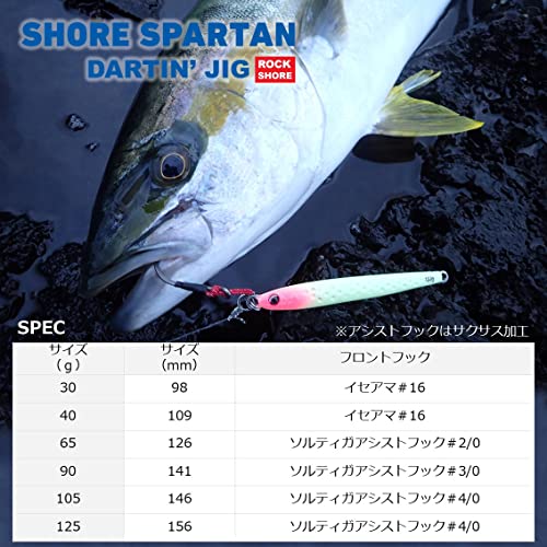 ダイワ(DAIWA) メタルジグ ショアスパルタン ダーティンジグ 105g シルバー ルアー - BanzaiHobby