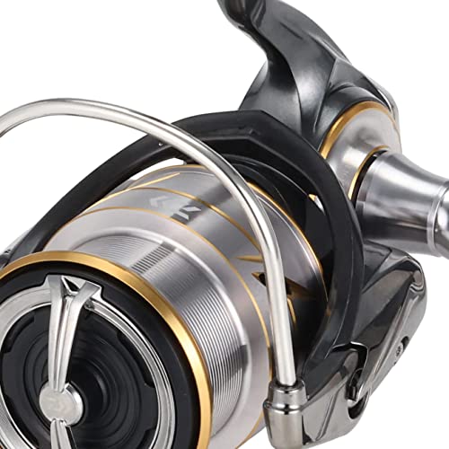 ダイワ(DAIWA) スピニングリール 20 ルビアス FC LT2500S(2020モデル) - BanzaiHobby