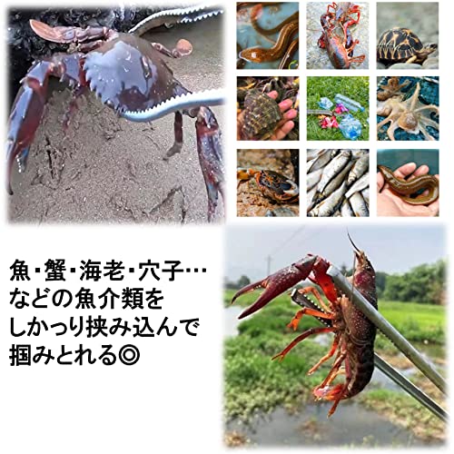 NOELAMOUR フィッシュグリップ カニ用ハサミ 魚掴み器 釣り アウトドア 釣り用品 フィッシング (レッド) - BanzaiHobby