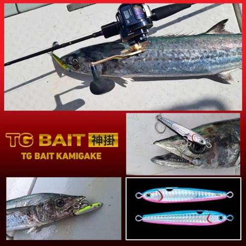 ダイワ(DAIWA) タングステンジグ TGベイト神掛 120G PHブルピン - BanzaiHobby
